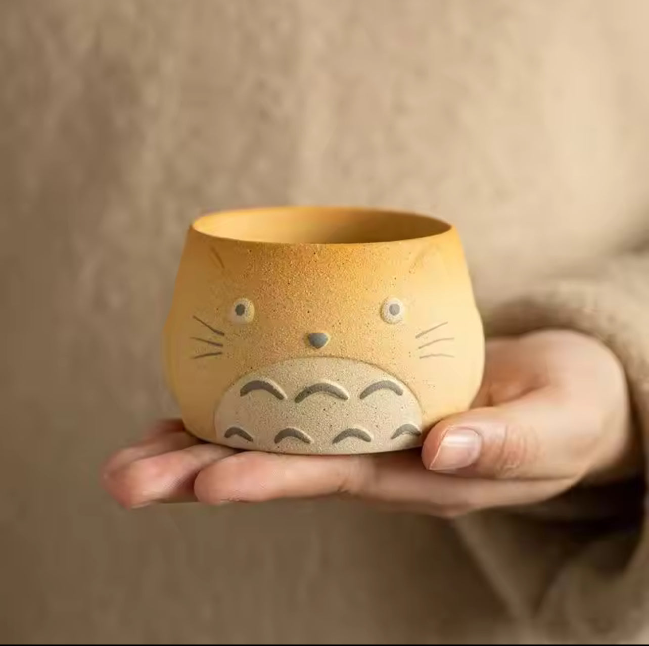 Totoro Ceramic Cup (4pcs per set) 100ml